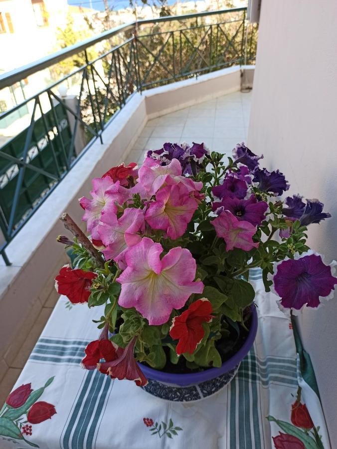 Airport Family House Apartment อาร์เตมีดา ภายนอก รูปภาพ